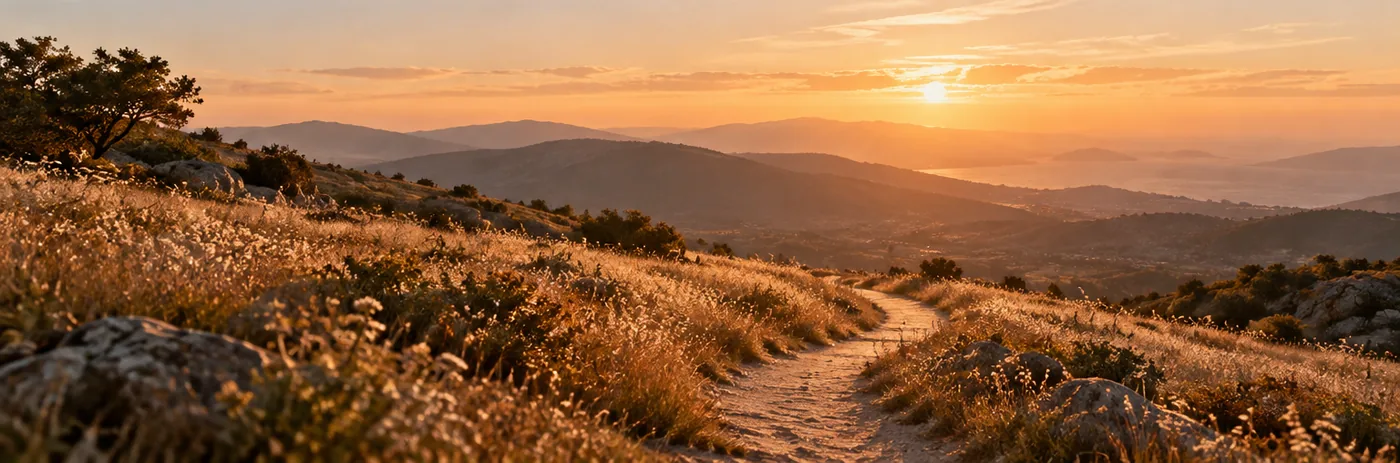 Golden path through a quiet landscape